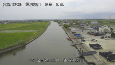 yoko2026061416_image