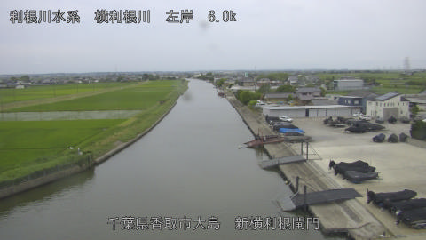 yoko2026061418_image