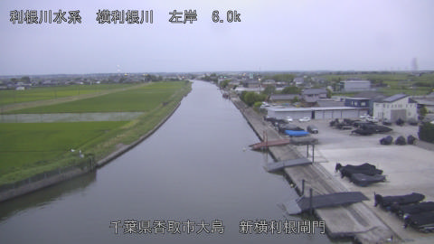 yoko2026061419_image