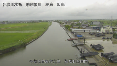 yoko2026061508_image