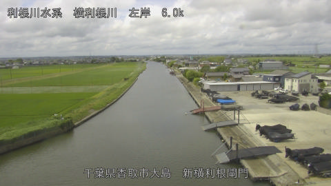 yoko2026061511_image