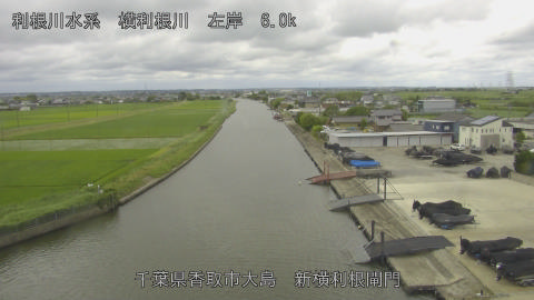 yoko2026061512_image