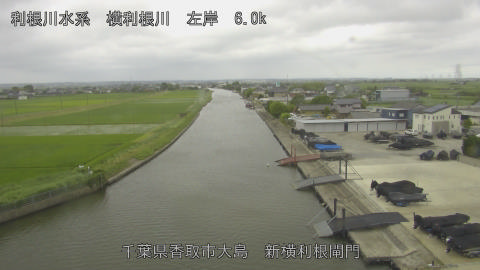 yoko2026061513_image