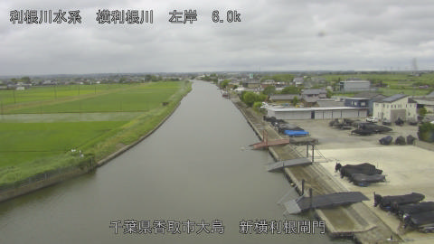 yoko2026061516_image