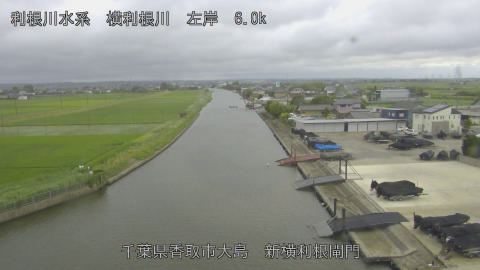 yoko2026061517_image
