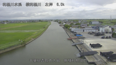 yoko2026061518_image