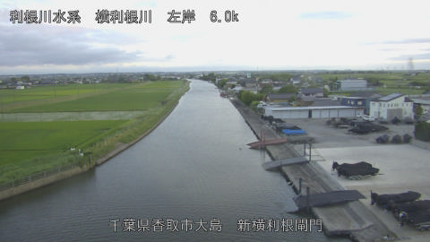 yoko2026061519_image