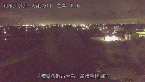 yoko2026061521_image
