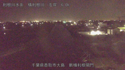 yoko2026061522_image