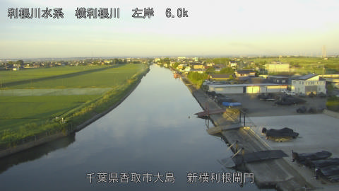 yoko2026061605_image