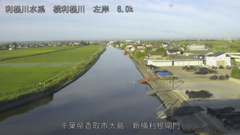 yoko2026061606_image
