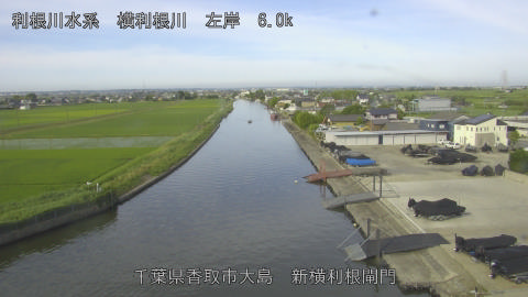 yoko2026061607_image