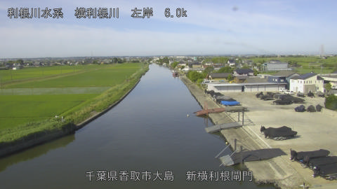 yoko2026061608_image