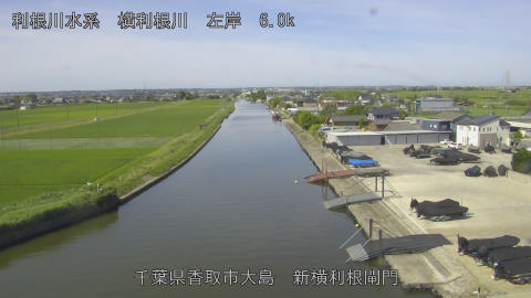 yoko2026061609_image