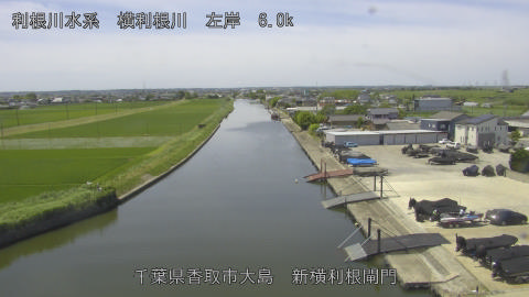 yoko2026061611_image