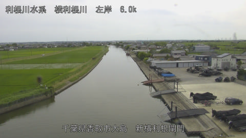yoko2026061615_image