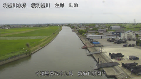 yoko2026061616_image