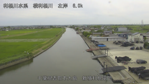 yoko2026061617_image