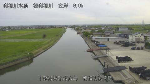 yoko2026061618_image