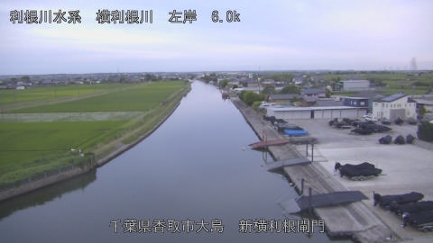 yoko2026061619_image