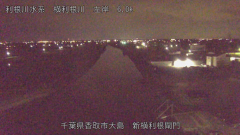 yoko2026061701_image