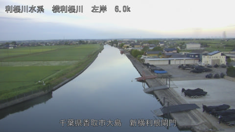 yoko2026061705_image