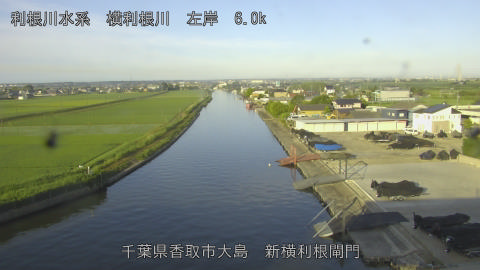 yoko2026061706_image