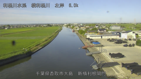 yoko2026061707_image