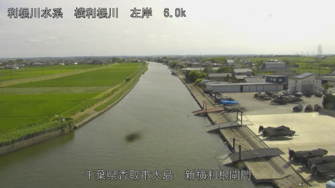 yoko2026061715_image