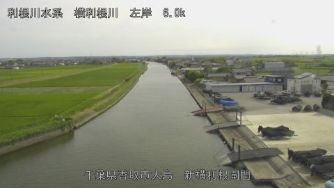 yoko2026061716_image