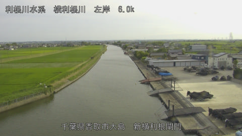 yoko2026061717_image