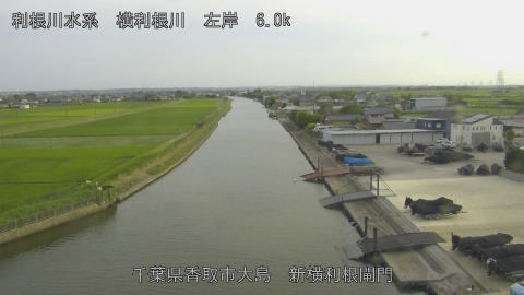 yoko2026061718_image