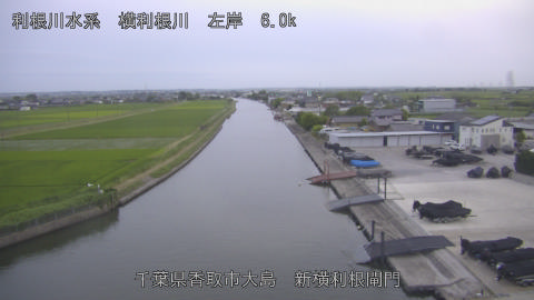 yoko2026061719_image