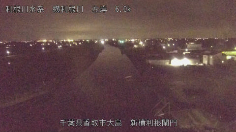 yoko2026061723_image