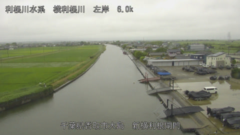 yoko2026061811_image