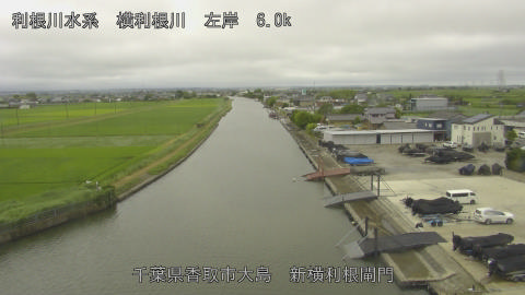yoko2026061814_image