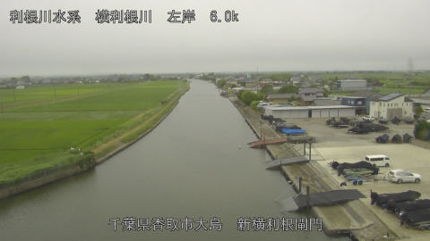 yoko2026061815_image