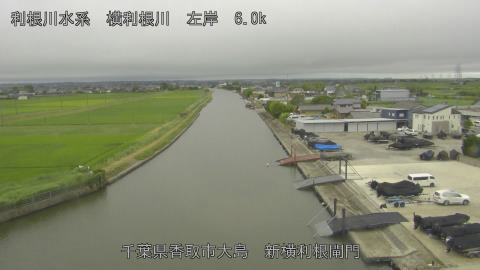yoko2026061816_image