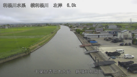 yoko2026061817_image