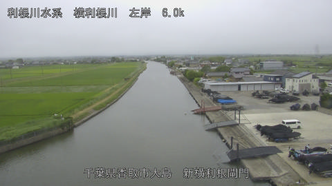 yoko2026061818_image