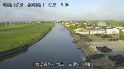 yoko2026061906_image