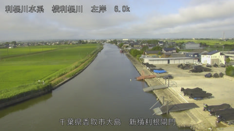 yoko2026061907_image