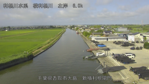 yoko2026061908_image