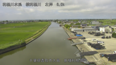 yoko2026061909_image