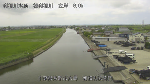 yoko2026061910_image
