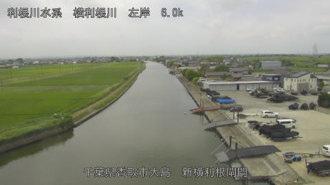 yoko2026061911_image