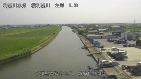 yoko2026061914_image