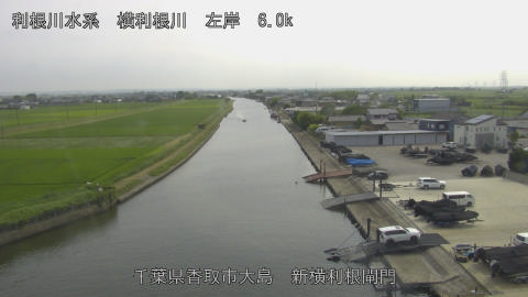 yoko2026061915_image