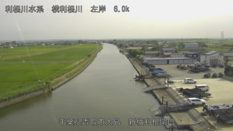 yoko2026061916_image