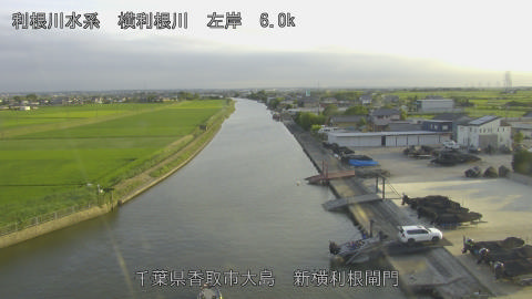 yoko2026061918_image